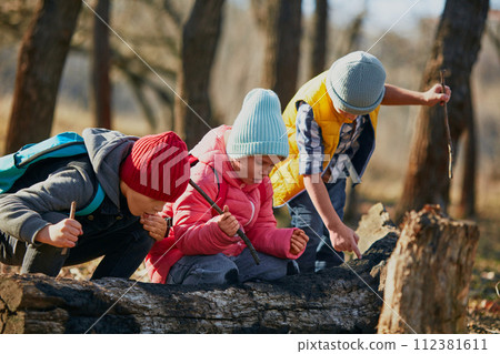 Outdoor activities for children's development. Outdoor activities for children's development. 112381611