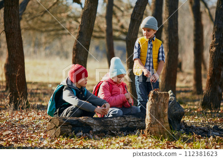 Outdoor activities for children's development. 112381623