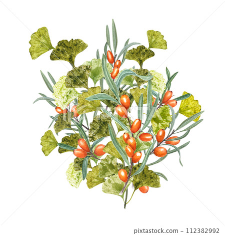 Gingko Branch and Juicy Sea Buckthorn. Bouquet with ripe orange berries and green leaves. Biloba, Thorn. Watercolor illustration for the design of invitation, greetings, advertising posters 112382992