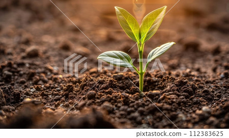 AI-generated content. An illuminated light bulb is placed on soil as a growing plant. Successful sustainable business and pollution reduction. Green Eco energy. AI-generated content. An illuminated light bulb is placed on soil as a growing plant. Successful sustainable business and pollution reduction. Green Eco energy. 112383625