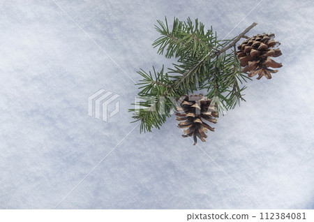 A branch of a Christmas tree with cones in the snow. Winter symbols. Winter frosty clear day. 112384081