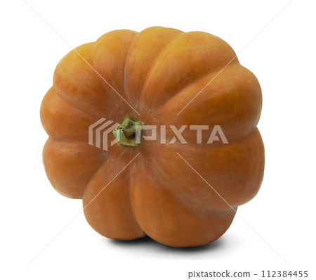 Ripe orange pumpkin on white background. Growing pumpkin. Pumpkin is an autumn food. 112384455