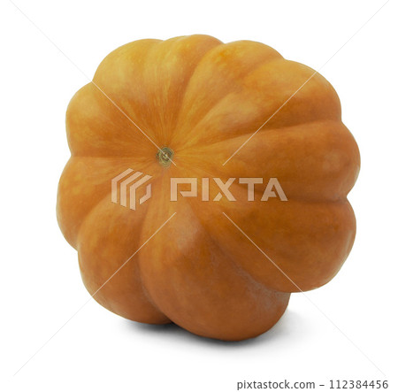 Halloween pumpkin isolated on white. Autumn Pumpkin Thanksgiving Background, orange pumpkin. 112384456