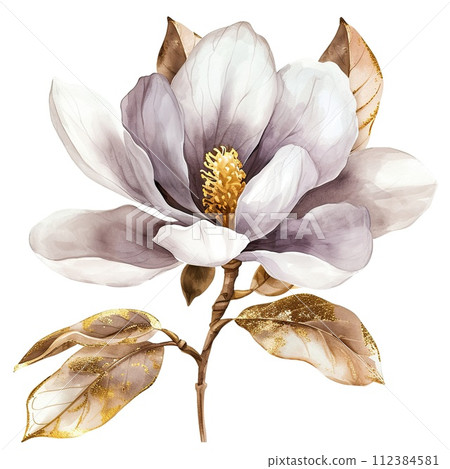 watercolor flower magnolia with gold leafs watercolor flower magnolia with gold leafs 112384581