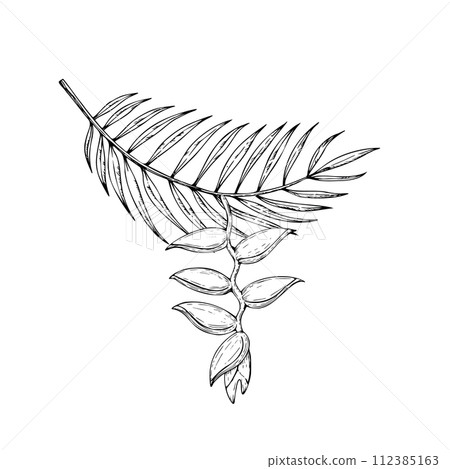 Tropical vector composition with heliconia flower and palm leaf illustrations on isolated background. Beautiful botanical hand painted exotic element. For designers, spa decoration, postcards, wedding Tropical vector composition with heliconia flower and palm leaf illustrations on isolated background. Beautiful botanical hand painted exotic element. For designers, spa decoration, postcards, wedding 112385163
