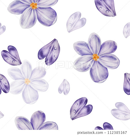 Watercolor seamless pattern with purple blooming crocus flower isolated on background. Spring and easter botanical hand painted saffron illustration. For designers, wedding, decoration, postcards, Watercolor seamless pattern with purple blooming crocus flower isolated on background. Spring and easter botanical hand painted saffron illustration. For designers, wedding, decoration, postcards, 112385167