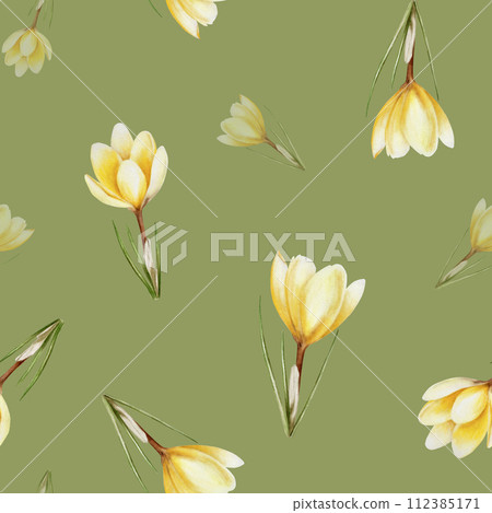 Watercolor seamless pattern with yellow blooming crocus flowers isolated on background. Spring and easter botanical hand painted saffron illustration. For designers, wedding, decoration, postcards, 112385171