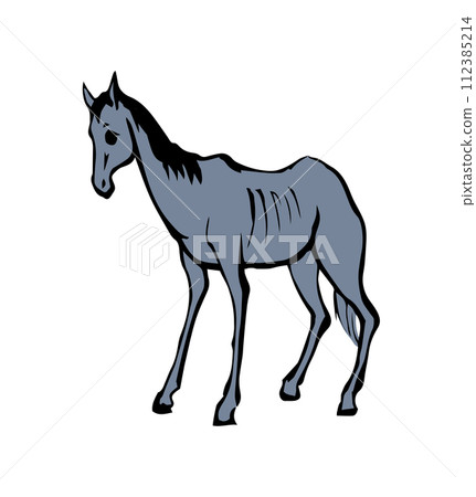 Starving skinny horse. Vector drawing 112385214