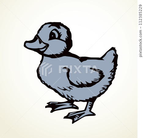 Cute duckling. Vector outline drawing Cute duckling. Vector outline drawing 112385229