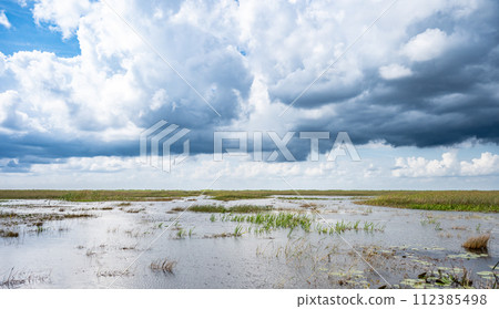 Cloudy skies above the open Florida Everglades grasslands Cloudy skies above the open Florida Everglades grasslands 112385498