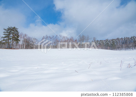 [中山高原]白樺林與雪景[大町市] 112385808