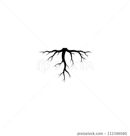 root vector logo 112386080