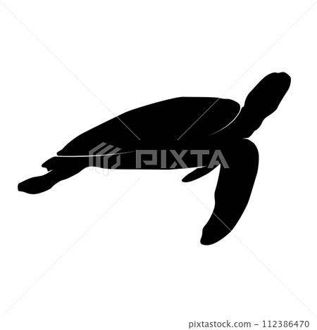 turtle icon vector turtle icon vector 112386470