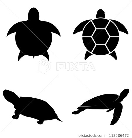 turtle icon vector turtle icon vector 112386472