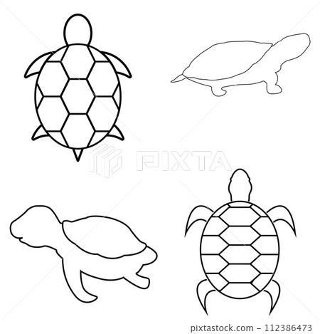 turtle icon vector turtle icon vector 112386473