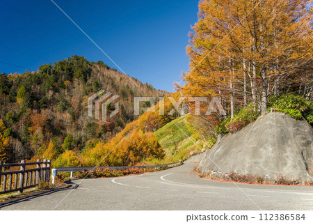 野麥峠/髮夾彎道的紅葉【長野縣道/岐阜縣道39號長川野麥高根線】 112386584