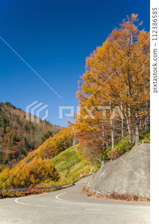 野麥峠/髮夾彎道的紅葉【長野縣道/岐阜縣道39號長川野麥高根線】 112386585
