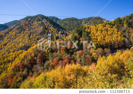 諾邁山口周圍充滿活力的秋葉 諾邁山口周圍充滿活力的秋葉 112386713
