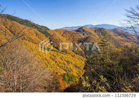 諾邁山口周圍充滿活力的秋葉 112386729