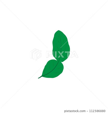 lime leaves logo lime leaves logo 112386880