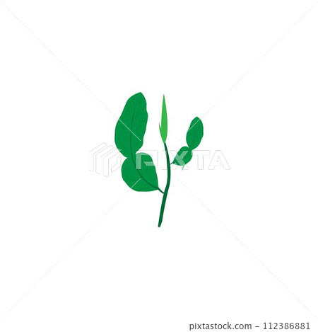 lime leaves logo 112386881