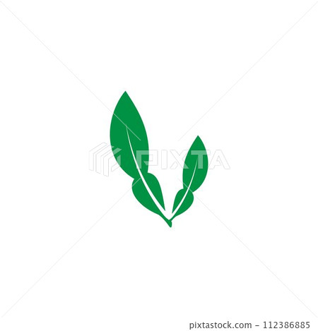 lime leaves logo lime leaves logo 112386885