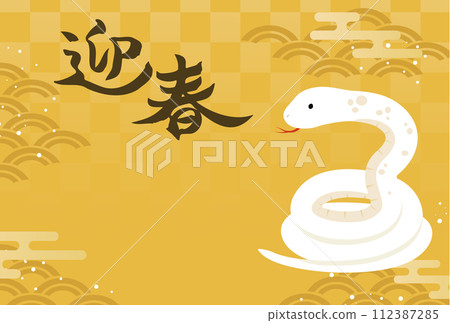 2025年蛇年新年賀卡模板水平_向量插圖 112387285