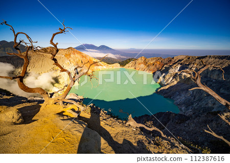 Deadwood Leafless Tree with Turquoise Water Lake,Beautiful nature Landscape mountain and green lake at Kawah Ijen volcano,East Java, Indonesia Deadwood Leafless Tree with Turquoise Water Lake,Beautiful nature Landscape mountain and green lake at Kawah Ijen volcano,East Java, Indonesia 112387616
