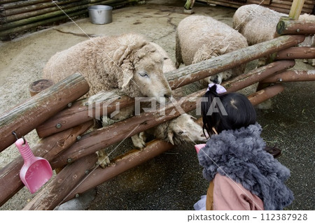 在姬路中央公園餵羊 在姬路中央公園餵羊 112387928