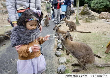 在姬路中央公園餵小袋鼠 112388334