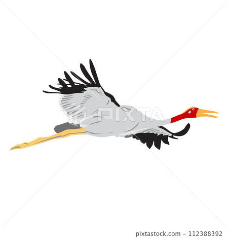 Sarus crane taking flight. flat vector 2 Sarus crane taking flight. flat vector 2 112388392
