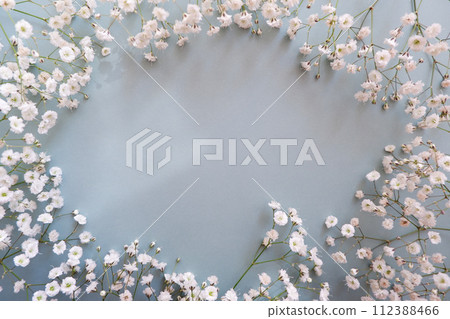 滿天星花卉背景素材 112388466