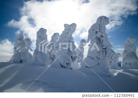 Mt. Moriyoshi frost-covered trees in clear winter weather, Akita Prefecture Mt. Moriyoshi frost-covered trees in clear winter weather, Akita Prefecture 112388491