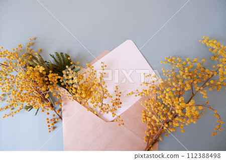 Natural background with mimosa 112388498