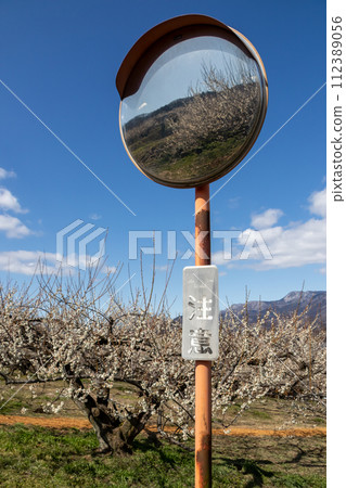 Curved mirror in plum garden, Haruna Bairin, Gunma Prefecture 112389056