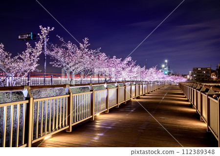 大府市二池公園河津櫻花燈光秀 大府市二池公園河津櫻花燈光秀 112389348