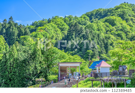 春天的宮瀨湖濱公園－新綠的影像 112389485