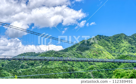 春天的宮瀨湖濱公園吊橋與藍天 112389491