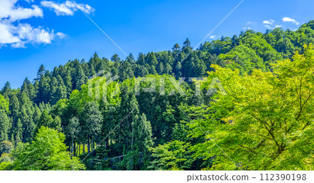 Miyagase Lakeside Park in spring - Image of fresh greenery Miyagase Lakeside Park in spring - Image of fresh greenery 112390198