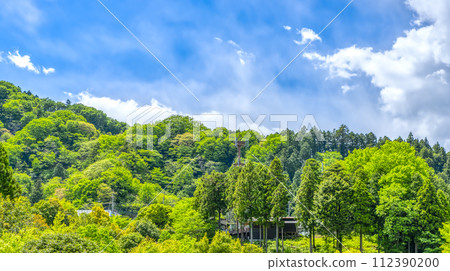 Miyagase Lakeside Park in spring - Image of fresh greenery 112390200