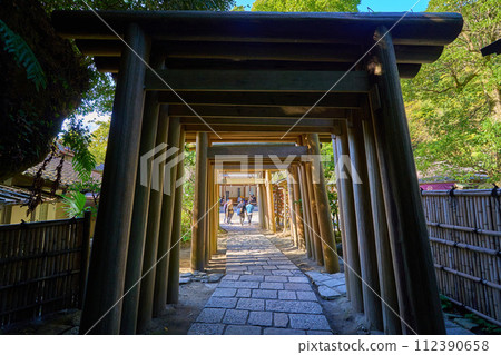 View of the shrine grounds from the torii gate after the tunnel of Zeniarai Benzaiten (Ugafuku Shrine) in Kamakura City, Kanagawa Prefecture in autumn 112390658