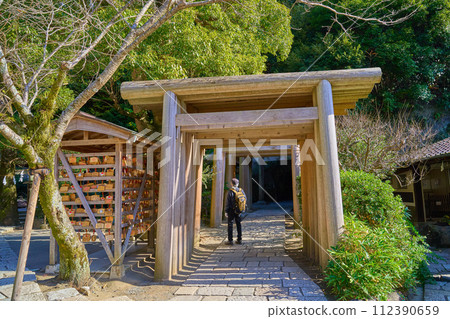 秋季從神奈川縣鎌倉市錢洗弁財天（宇賀福神社）境內看到的鳥居和隧道 112390659