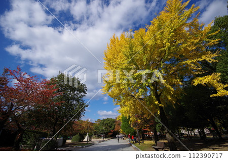 深秋的廣島和平公園，有秋葉 112390717