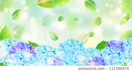 Hydrangea rainy season flower background Hydrangea rainy season flower background 112390974