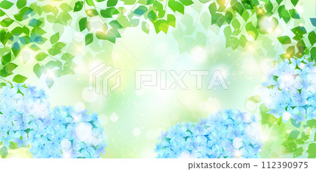 Hydrangea rainy season flower background Hydrangea rainy season flower background 112390975