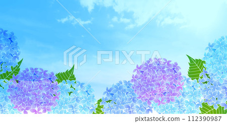 繡球花雨季花背景 112390987