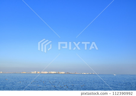 Looking towards Urayasu from Wakasu Seaside Park in Koto Ward, Tokyo 112390992