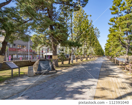 Monument and pine trees at the nationally designated scenic spot “Okunohosomichi Scenic Spot Soka Matsubara” 112391040
