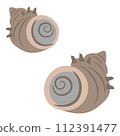 Illustration of turban shell 112391477