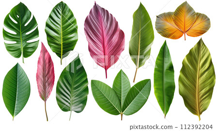 Tropical Leaves, Generative AI 112392204